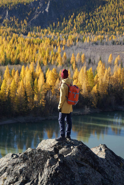 Traveler Standing on the Rock and Looking at the Golden Autumn in Altai Mountains, Siberia, Russia - Photo, Image
