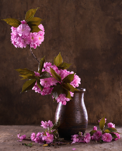 Sakura en un jarrón
  - Foto, Imagen