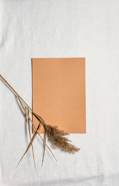 Dried natural reed flower and camel square blank paper sheet on white linen. Tactile flat lay background with dried flower and copy space. Organic design. Pastel colors. Vertical orientation. - Photo, Image
