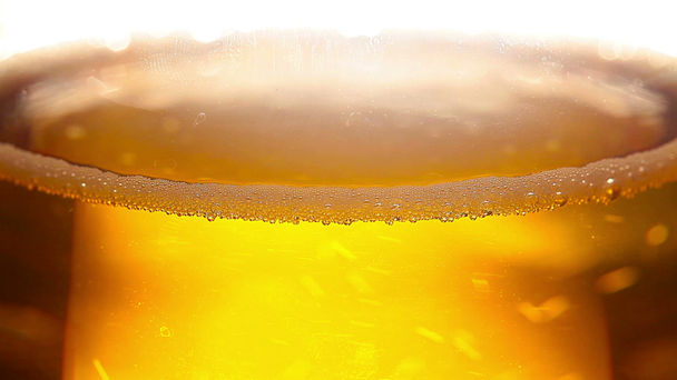 Beer bubbles - Footage, Video