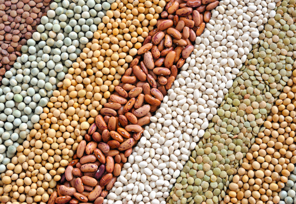 Mixture of dried lentils, peas, soybeans, beans - background - Photo, Image