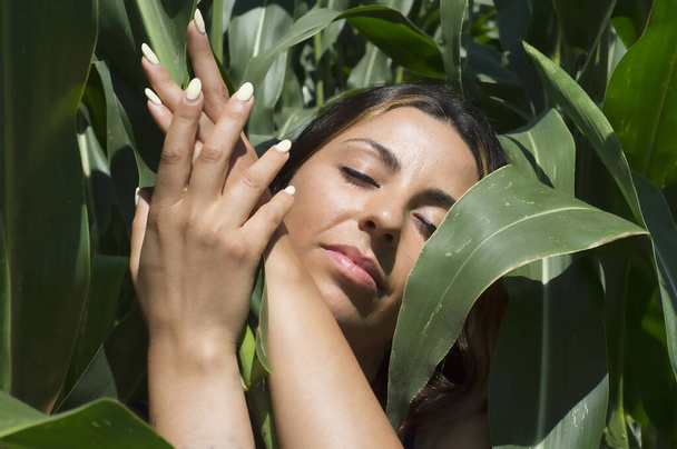 закрыть портрет девушки, стоящей на кукурузном поле на органической ферме. женщина с закрытыми глазами, мечтательный взгляд и руки вверх - Фото, изображение