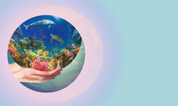 青い空に向かって人間の手にグローブ。環境保護の概念。水中世界。紅海のサンゴ魚 - 写真・画像