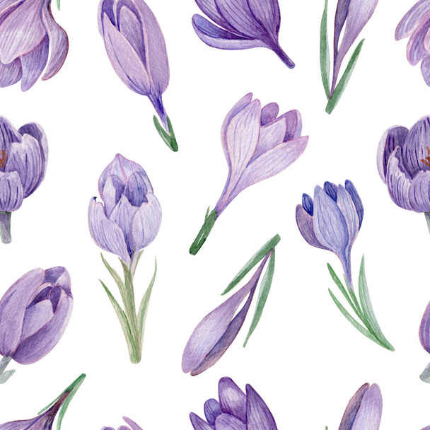 Purple crocus hand painted watercolor seamless background. Spring saffron on white watercolor seamless pattern. - Fotografie, Obrázek