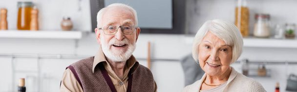 Mutlu yaşlı çift kameraya bakarken gülümsüyor, afiş - Fotoğraf, Görsel