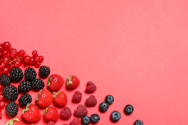 Different ripe berries on color background - Photo, Image