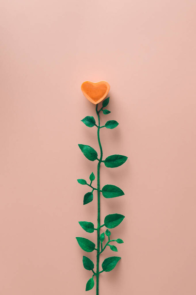 Gele roos in de vorm van hart met bladeren. minimalistisch concept. - Foto, afbeelding