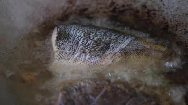 フライパンに熱々の鍋でティラピア魚を揚げ.タイの家庭料理 - 映像、動画