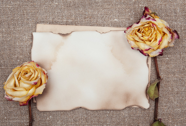 Dry roses and aged paper on the burlap  - Photo, Image
