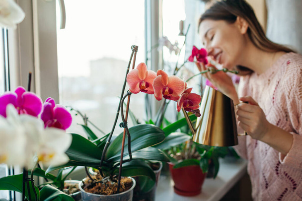 Watering orchids phalaenopsis with golden metal watering can. Woman taking care of home plants and smelling flowers on window sill. Home hobbies - Photo, Image
