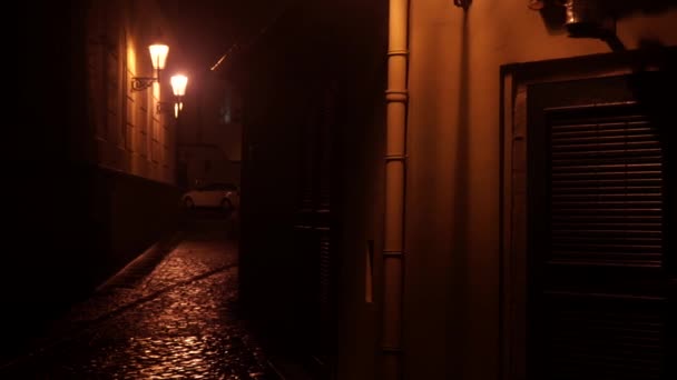 statische straatverlichting en een verharde stoep voor voetgangers 's nachts in Praag  - Video