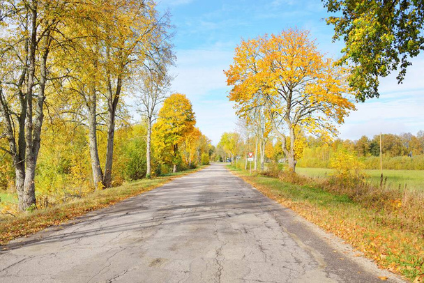 Renkli yaprak döken ağaçların (meşe, akçaağaç, huş) arasından yeşil, sarı, turuncu, altın yapraklı eski bir kırsal yol. Idyllic sonbahar kırsal kesimi. Arabadan bir manzara. Mevsimler, sonbahar, hava - Fotoğraf, Görsel