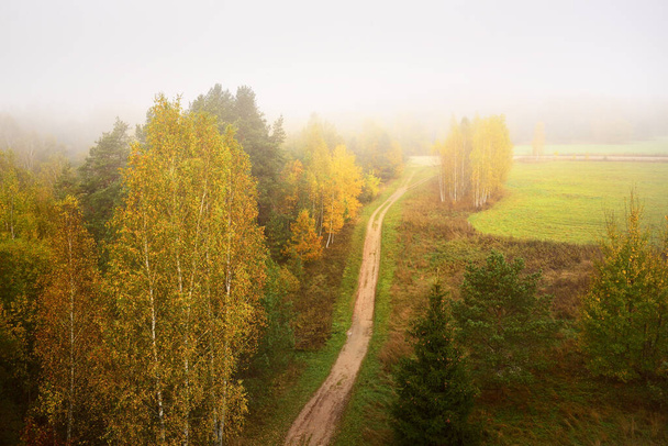 Kręta wiejska droga w pobliżu rzeki Daugava, kolorowe zielone, złote brzozy jesienią. Park przyrody Daugavas loki, Latgale, Łotwa. Ekologia, ekoturystyka, rekreacja, cele podróży. Widok z lotu ptaka - Zdjęcie, obraz