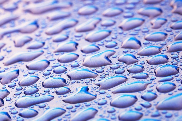 Fondo azul brillante, gotas de agua cristalina (gotas de lluvia). Patrón natural abstracto, papel pintado, arte conceptual. Gradiente rosa y púrpura. Recursos gráficos, diseño, 3D, macrofotografía, decoración - Foto, Imagen