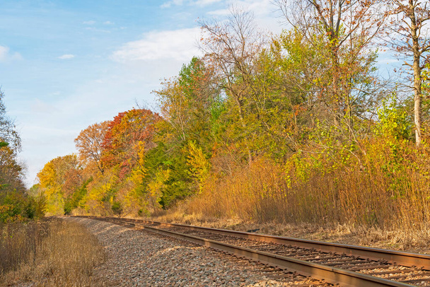 Осенние цвета вдоль одинокой железной дороги в парке Уайт Пайнс штата Иллинойс - Фото, изображение