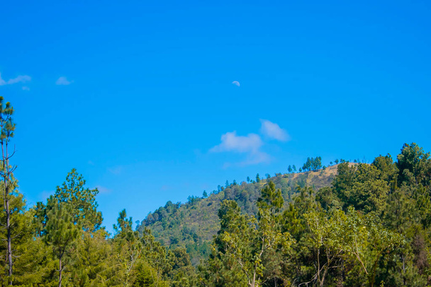 vuori vihreitä puita kaunis sininen taivas - Valokuva, kuva