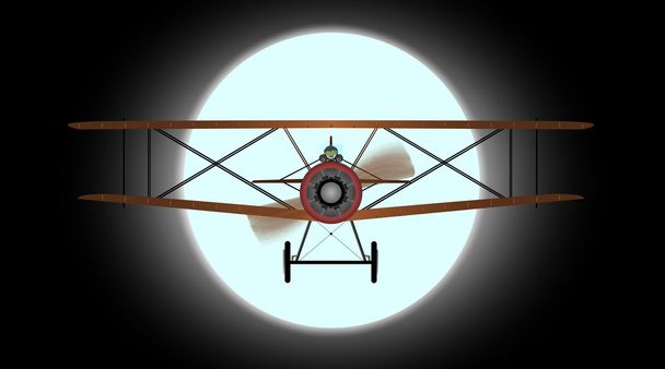 Flying by Night - Vector, Image