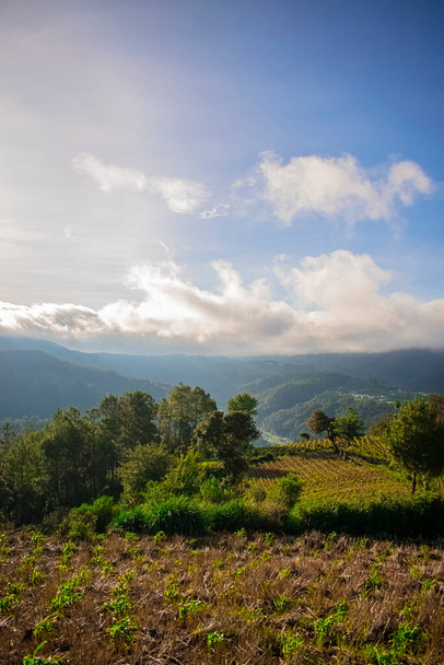 panoramatická údolí krajina s lesem s mraky vynořující se v horách - Fotografie, Obrázek