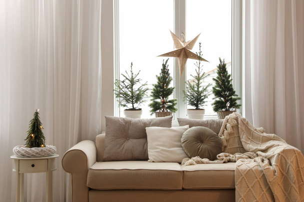 Sofa near window with small fir trees in room. Interior design - Φωτογραφία, εικόνα