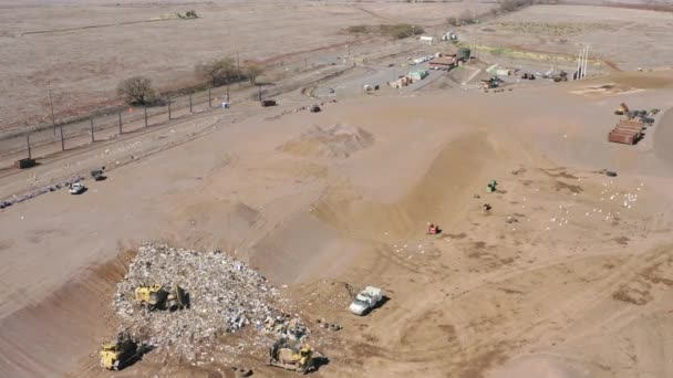 Flock of white birds flying above garbage landfill. Trucks leveling people waste - Footage, Video