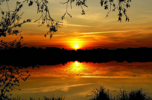 燃える夕日湖の穏やかな水面フレーム内の木の枝静かな春の夜に - 写真・画像