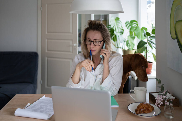 Empregado mulher sentada na cadeira com cão em casa, assumindo telefone celular, remoto trabalhando no laptop - Foto, Imagem