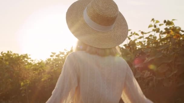 Back-view slow mo medium close-up van onherkenbare vrouw in strohoed die op zomerdag langs het zonnebloemveld loopt - Video