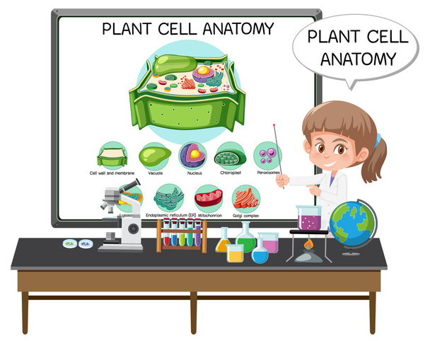 Młody naukowiec wyjaśniający anatomię komórek roślinnych (schemat biologiczny) ilustracja - Wektor, obraz