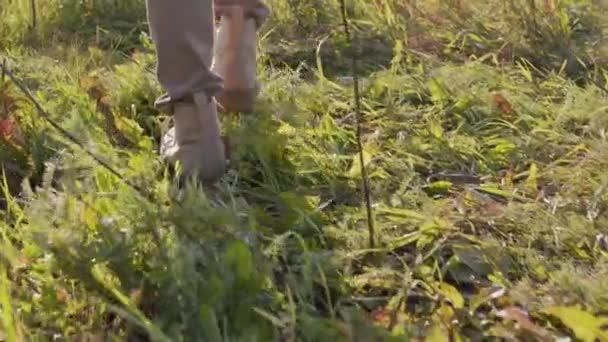 Taustakuva hidastettuna tunnistamattomista jaloista kävelemässä vihreällä ruoholla päivänvalossa. - Materiaali, video