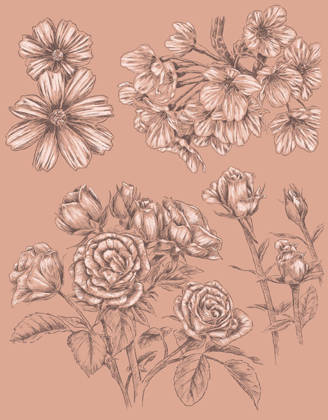 Detaylı sketchbook elle çizilmiş çiçek seti - Vektör, Görsel