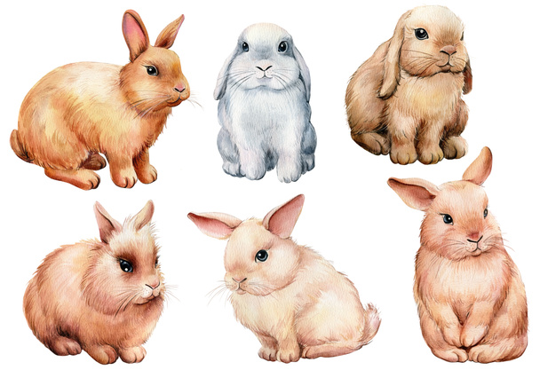 Набір кроликів на білому ізольованому фоні, акварельна ілюстрація
 - Фото, зображення