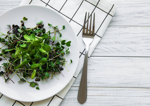 Micro greens in a plate on a white background, micro green, healthy food concept - Foto, immagini
