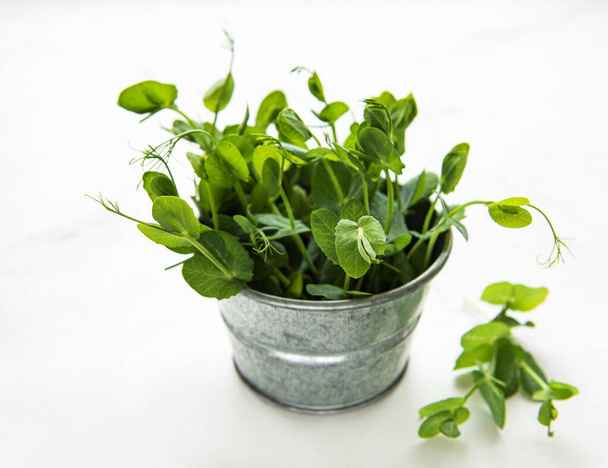 Copo com brotos verdes de sementes germinadas de ervilhas em uma mesa - Foto, Imagem