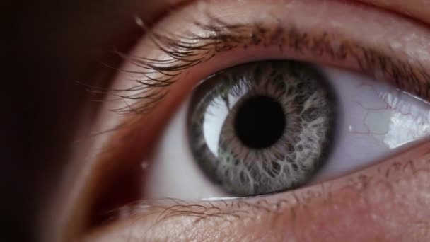Filmación de mirar ojo gris femenino - Metraje, vídeo