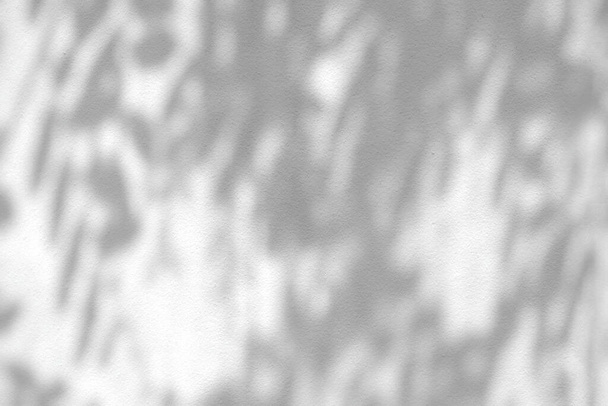 Sombra de árvore no fundo da textura da parede da rachadura, apropriado para o fundo da apresentação do produto, exposição, e falsificação. - Foto, Imagem