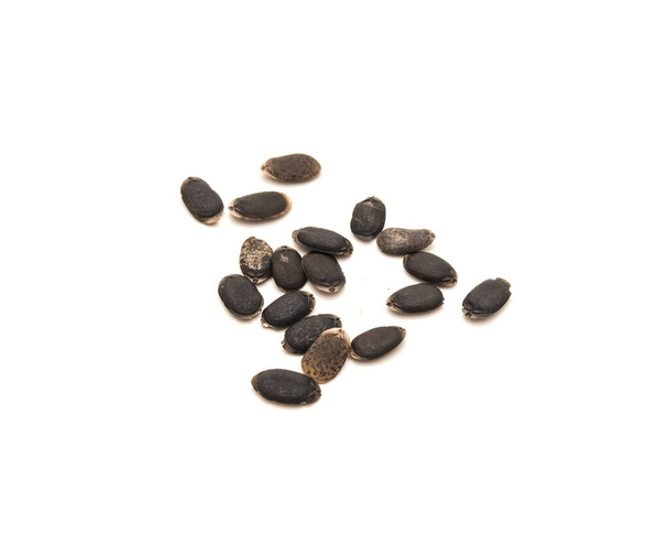 Grupo de visão superior de sementes de luffa isoladas em fundo branco. Sementes de hortaliças de Luffa aegyptiaca e Luffa acutangula não tratadas orgânicas prontas para plantio - Foto, Imagem