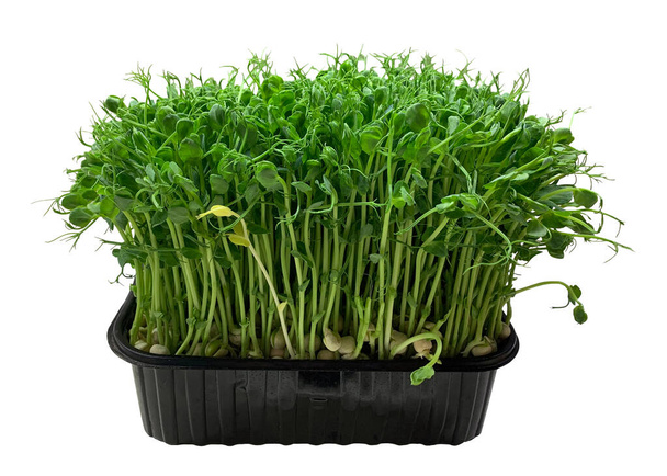 There is a microgreens beans box. White background. Isolated. - Foto, Imagen