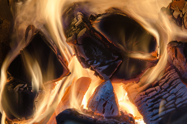 Wood in Fire - Photo, image