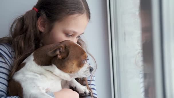 Kleines Mädchen mit Chihuahua-Hund am Fenster. Quarantäne. Nahaufnahme. - Filmmaterial, Video