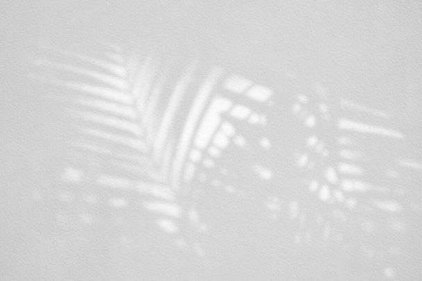 Palma deja sombra en fondo de textura de pared. - Foto, Imagen