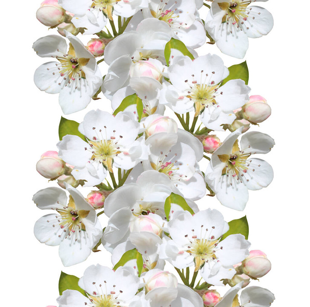 Elegant seamless pattern with sakura cherry blossom flowers, design elements. Floral pattern for invitations, greeting cards, scrapbooking, print, gift wrap, manufacturing, textile  - Foto, Imagen