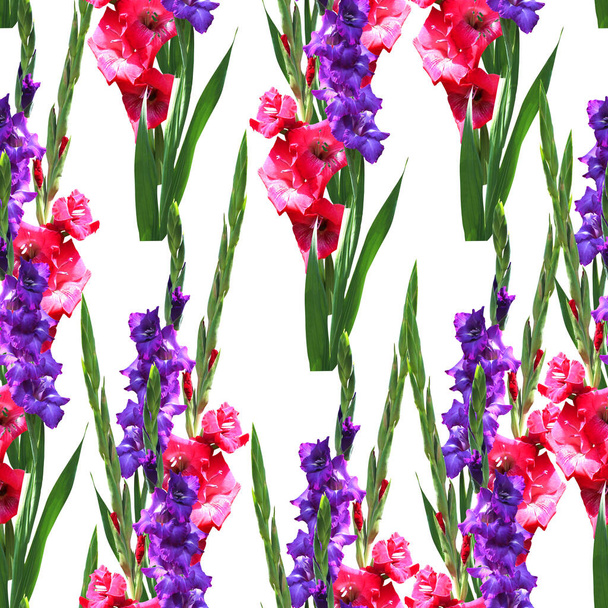 Elegant seamless pattern with gladiolus flowers, design elements. Floral pattern for invitations, greeting cards, scrapbooking, print, gift wrap, manufacturing, textile  - Φωτογραφία, εικόνα