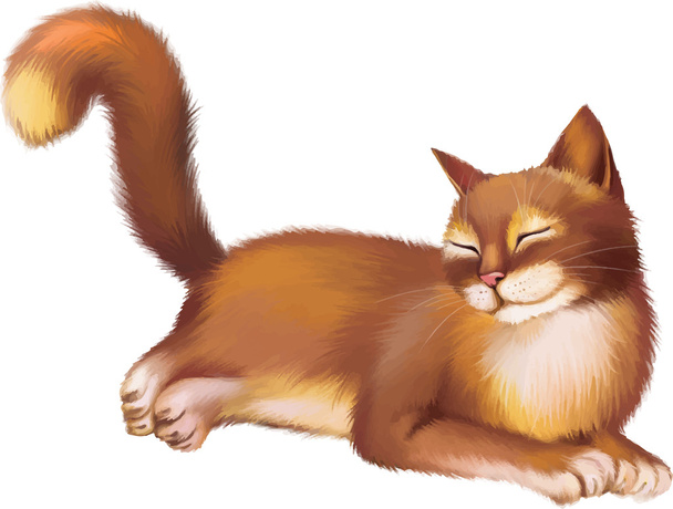 Young Red brown Cat - Vector, afbeelding