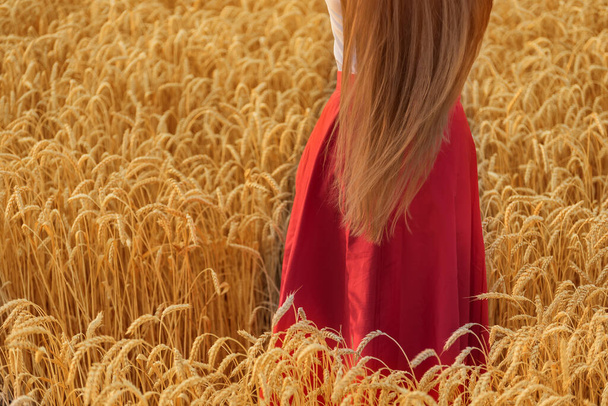 Ženy s dlouhými vlasy na pšeničném poli, pohled zezadu. Zdraví a síla vlasů. - Fotografie, Obrázek