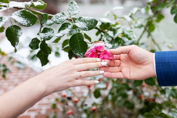 Hände von Verliebten auf dem Hintergrund einer Blume, ein Mädchen und ein Mann halten sich bei einem Date sanft an den Händen, kalter Schnee und warme Umarmungen - Foto, Bild