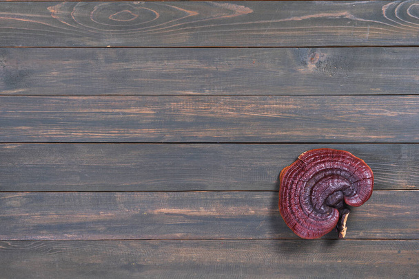 Κοντινό πλάνο του μανιταριού Ling zhi, μανιτάρι Ganoderma lucidum σε ξύλινο τραπέζι - Φωτογραφία, εικόνα