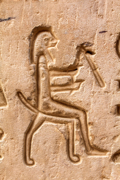 エジプトの寺院の壁に座っている男の彫刻 - 写真・画像