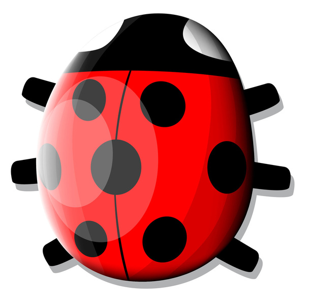 Ladybug - Vetor, Imagem