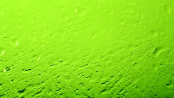 Water Drops - Footage, Video