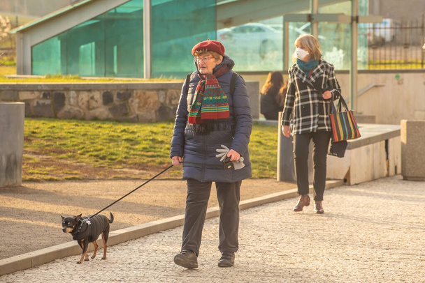 Prag, Çek Cumhuriyeti. 01-29-2021. Güneşli ve soğuk bir kış sabahı Prag 'ın merkezinde köpeği olan yaşlı bir kadının portresi.. - Fotoğraf, Görsel